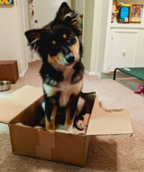 Screen Shot 2019-01-07 at 10.13.58 AM.png