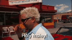 giphy (1).gif
