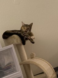 6AEB4BC2-5F94-4A08-B415-16C00817C505.jpeg