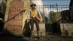 Red Dead Redemption 2_20200121104241.jpg