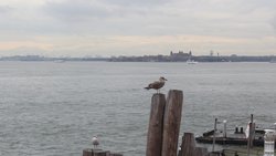 IMG_4337.jpg