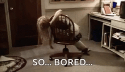sb.gif