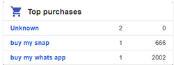 analytics_purchases2.png