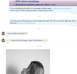 Screen Shot 2020-11-16 at 1.21.20 PM.png