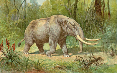 Mastodon_color.jpg