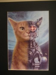 cyborgcat.jpg