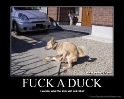 demotivational-poster-jyqhtm33ru-FUCK-A-DUCK.jpg