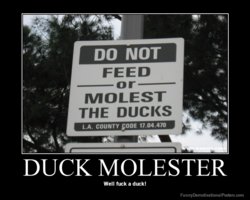 demotivational-poster-jg2v5bjcjq-DUCK-MOLESTER.jpg