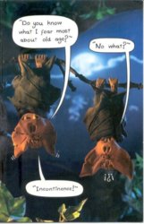 Bats Funny.jpg
