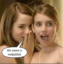 memegirls.jpg
