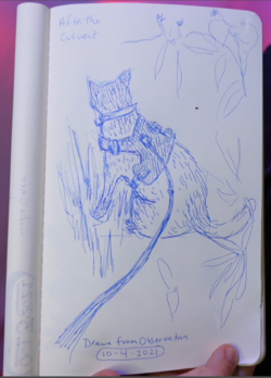 2021-inktober-4-cat-culvert1.png