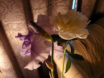 20190625_164049.jpg