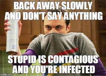 meme stupid.jpg