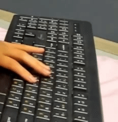 gif 01.gif gif 01.gif