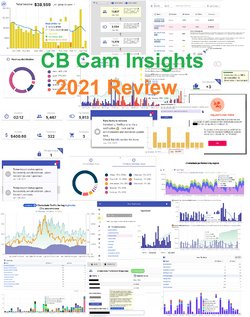 CB Cam Insights 2021 Review.jpg