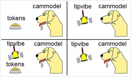 pavlovs cammodel.jpg