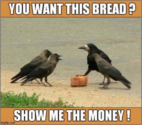 show me the money - crows.jpg