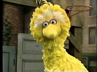 Big Bird2.jpg