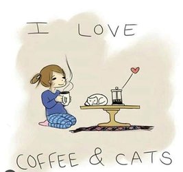 coffee Caffeine and kitties are the best.jpg