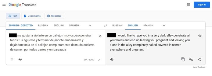 comment translation - Copy.jpg