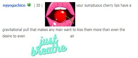 wtf.jpg