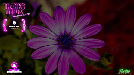 Frame_08279.jpg