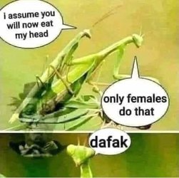 FB_IMG_1666315876495.jpg