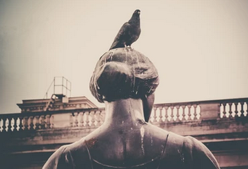 pigeon vs statue.png