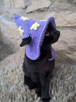 cat meme Wizard kitty.jpg
