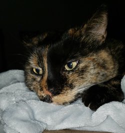 20230123_202925.jpg