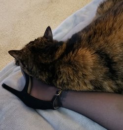 20230312_190803.jpg