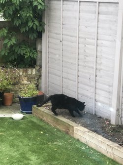 IMG_0872.jpeg