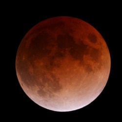 total-lunareclipse.jpg