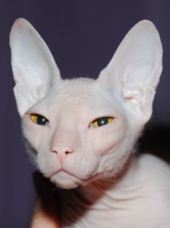 nomakeup.jpg