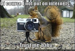 funny-pictures-creepy-squirrel-camera-park.jpg