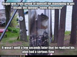 funny-pictures-squirrel-had-a-bad-plan.jpg