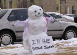 brave-snowman.jpg