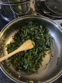IMG_1377.jpeg