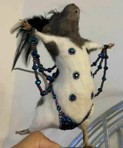 burlesquerat.png