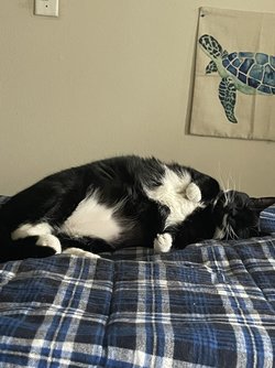 IMG_7255.jpeg