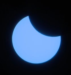 1743246663164.png
