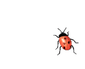 1746053729346.gif