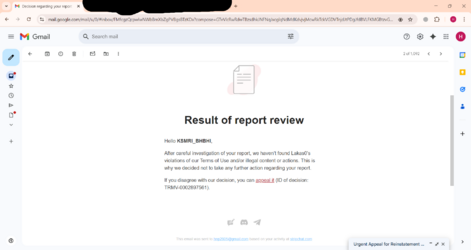 report review.png