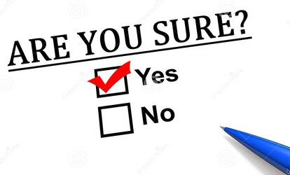 you-sure-yes-no.jpg