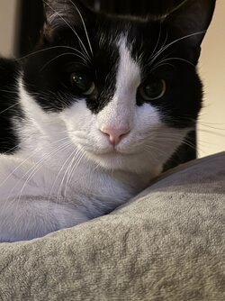 IMG_2554.jpeg IMG_2554.jpeg