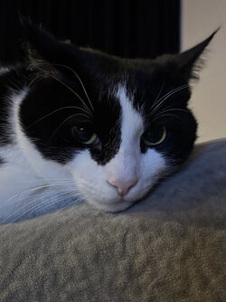 IMG_2553.jpeg IMG_2553.jpeg