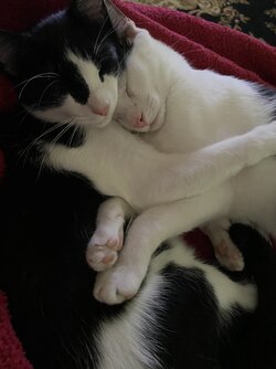 IMG_5615.jpeg IMG_5615.jpeg