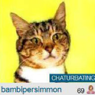BambiPersimmon