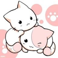 kitty-princen