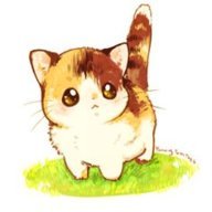 cosmoskitty